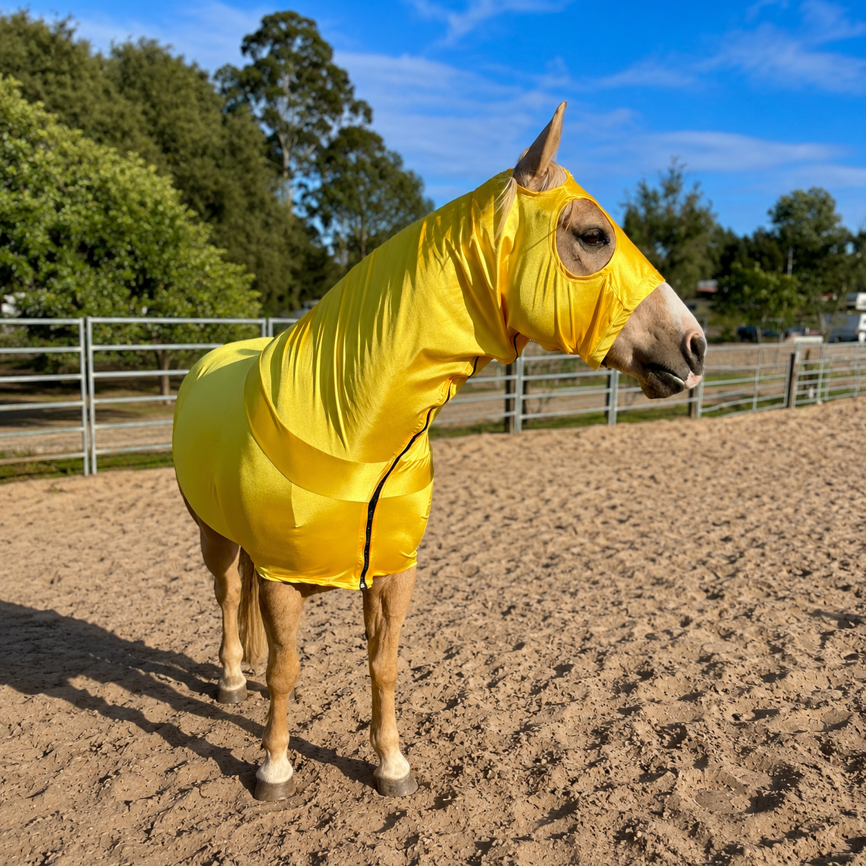Yellow Full Body Sleazy
