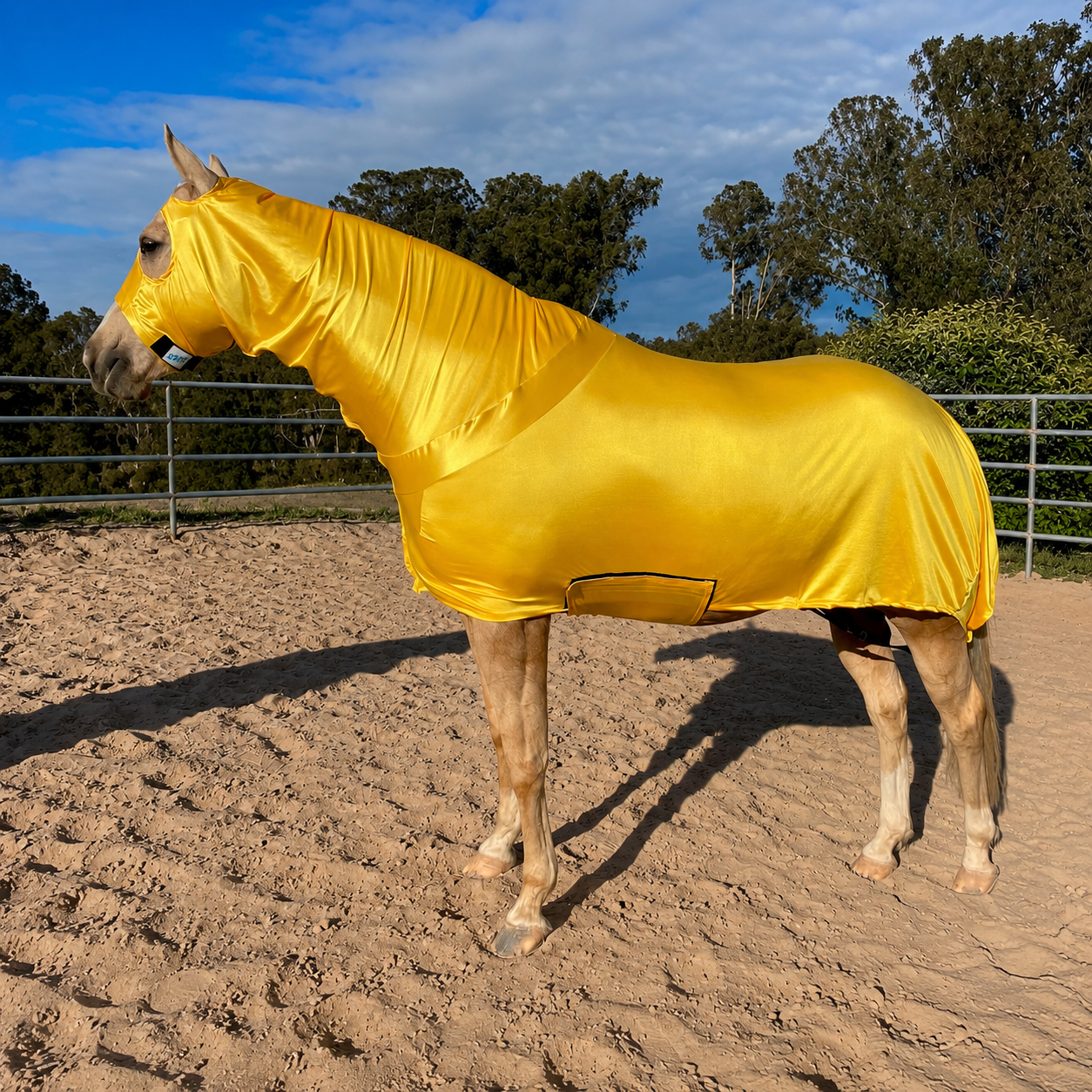 Yellow Full Body Sleazy