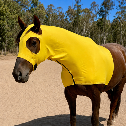Yellow Hood Sleazy