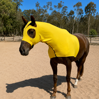 Yellow Hood Sleazy