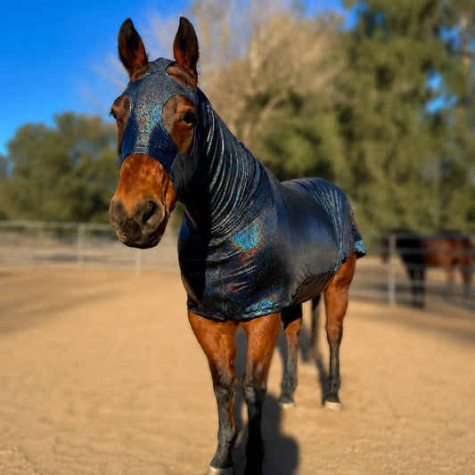 hologram black full body sleazy horse front view showing full body fitment