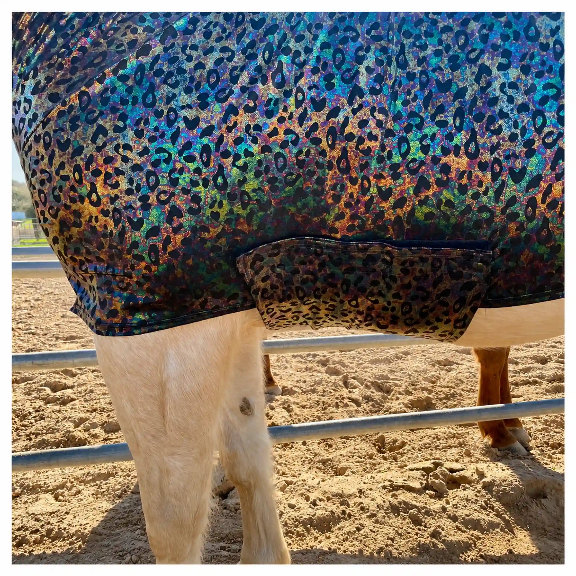 hologram-leopard-faceless-full-body-sleazy-belly-view