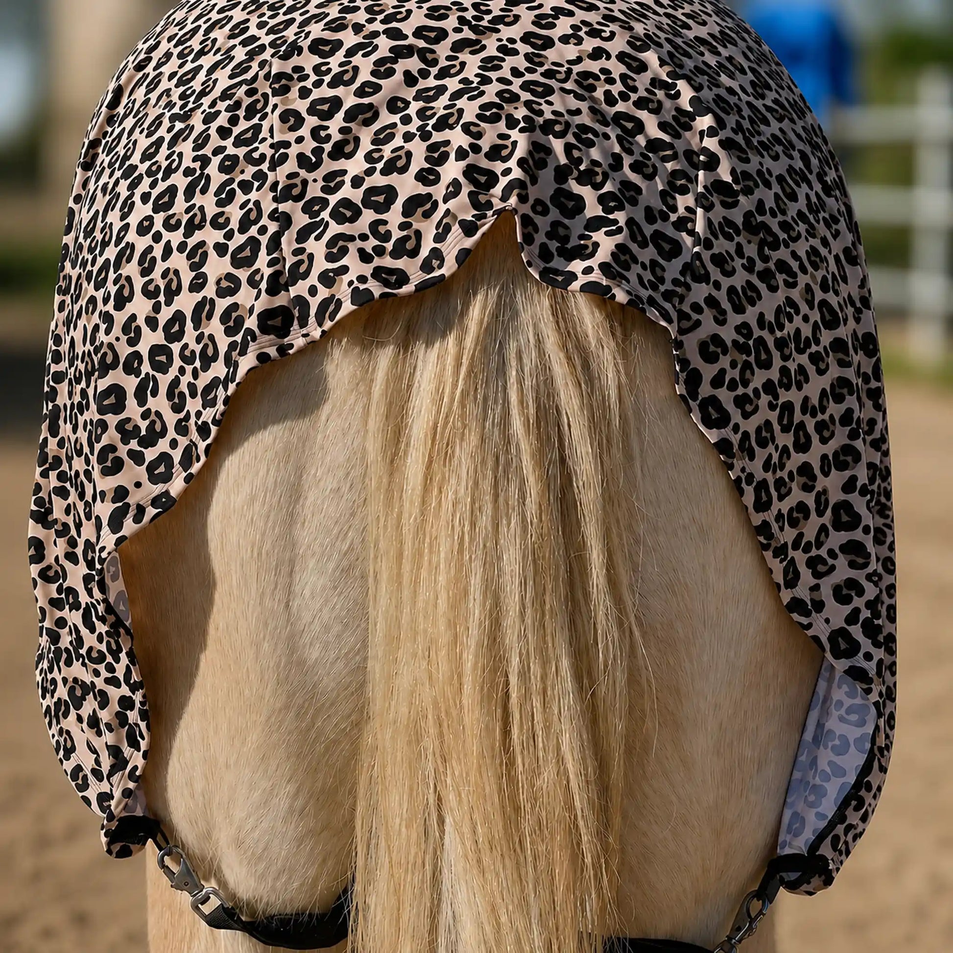 leopard faceless full body sleazy horse back view showing fitment 