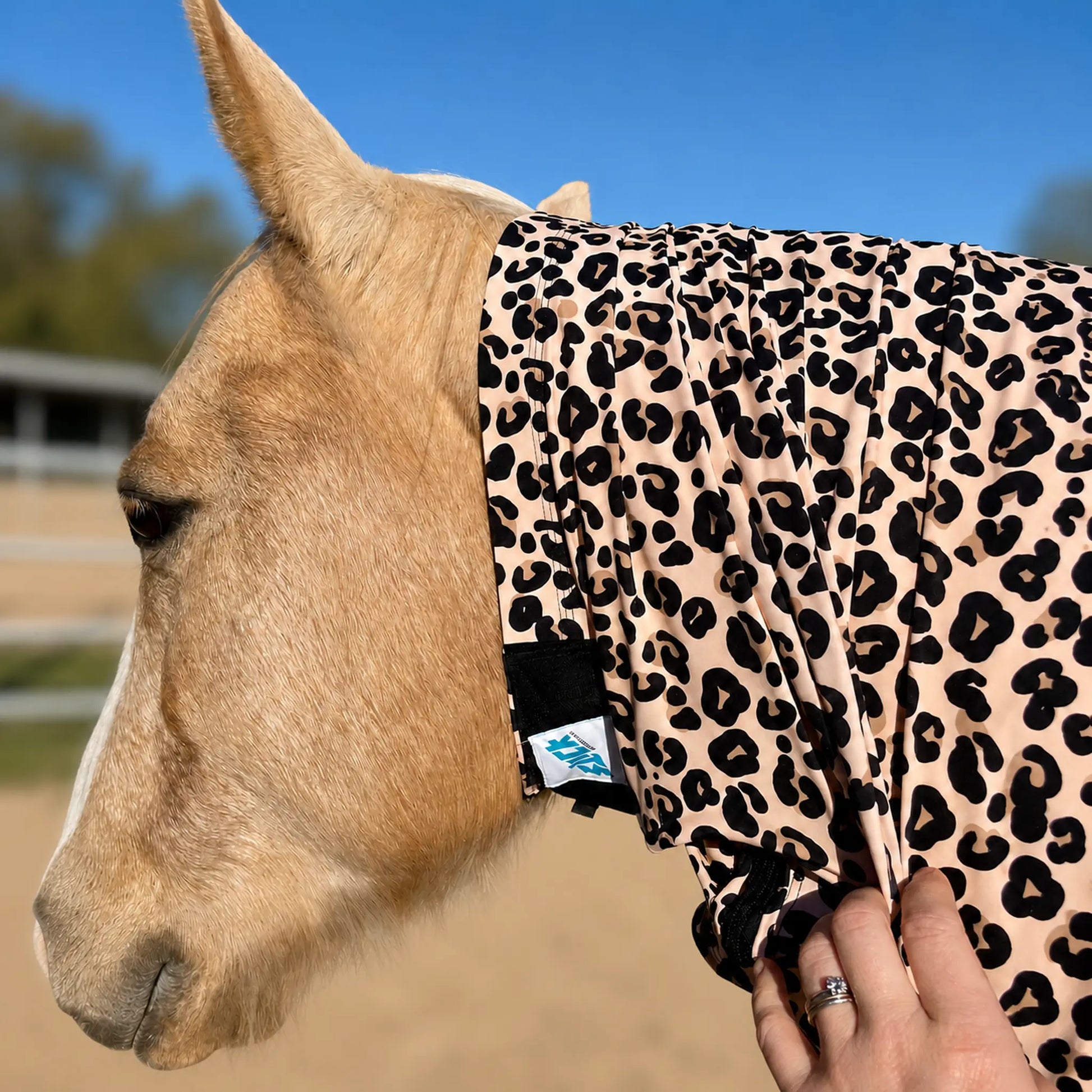 leopard faceless full body sleazy horse neck view 