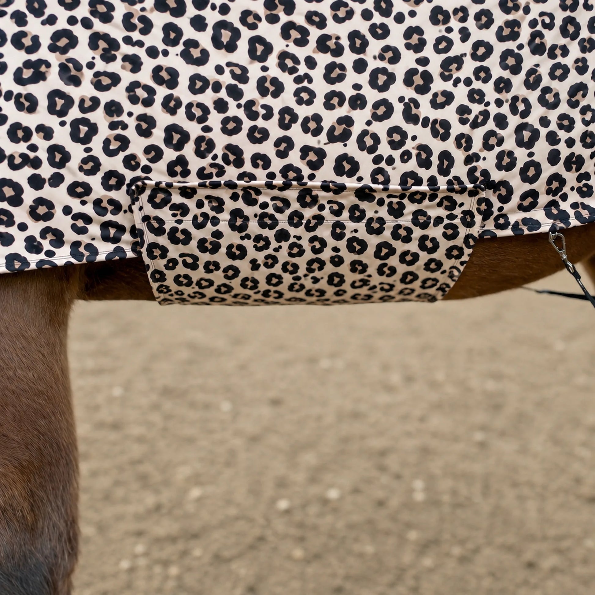Close-up of a belly leopard-print sleazy, showing the black and beige pattern against the horse's brown leg and sandy ground background.