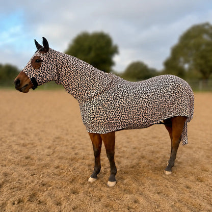 A horse standing in a sandy outdoor paddock wearing a fitted horse full body sleazy. 