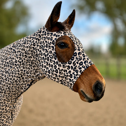 A close-up of a horse wearing a fitted leopard print pattern sleazy, photographed outdoors in a blurred arena and tree background.