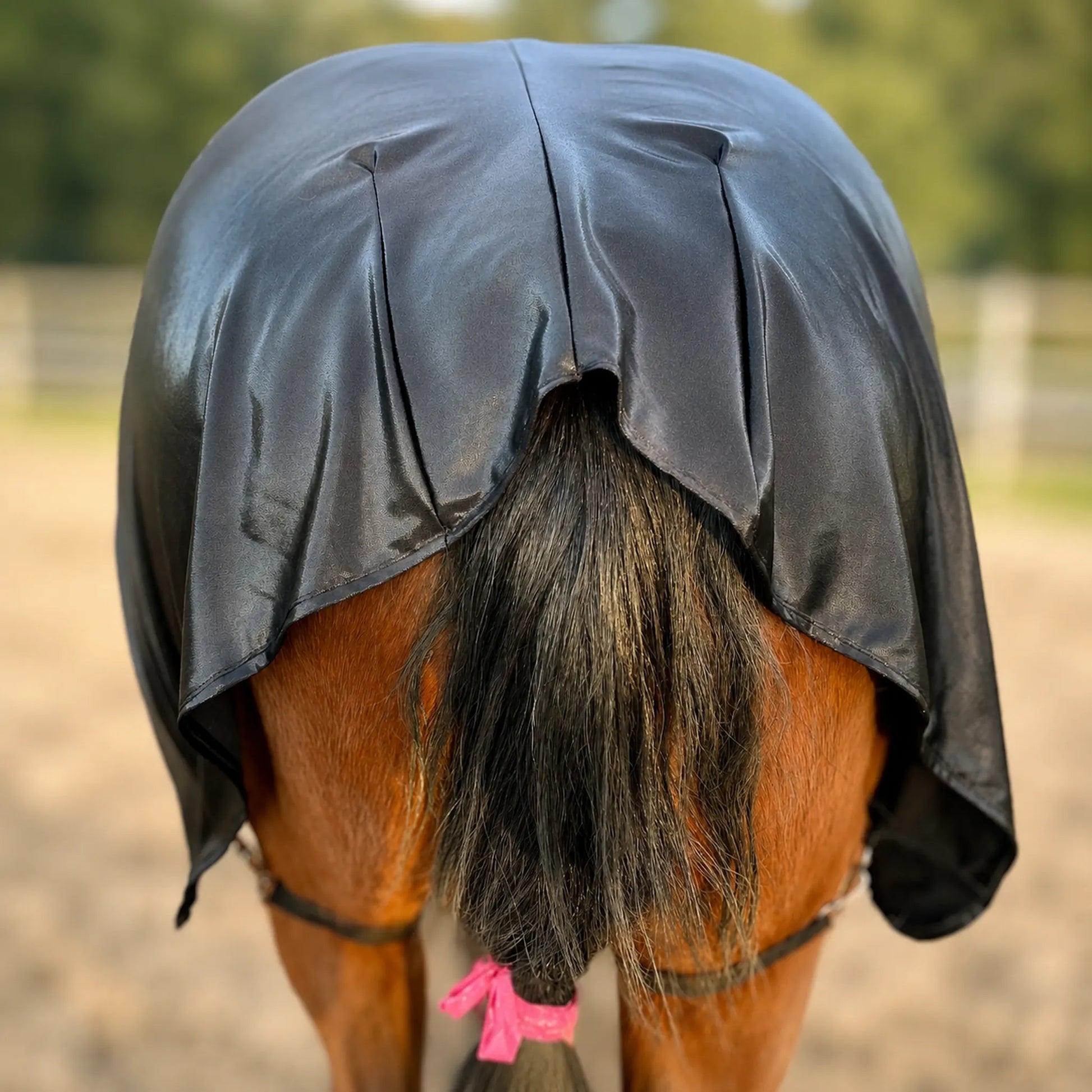 A close-up rear view of a horse wearing a shiny black metallic full body horse sleazy, with its brown coat and dark tail visible against a blurred outdoor paddock background.