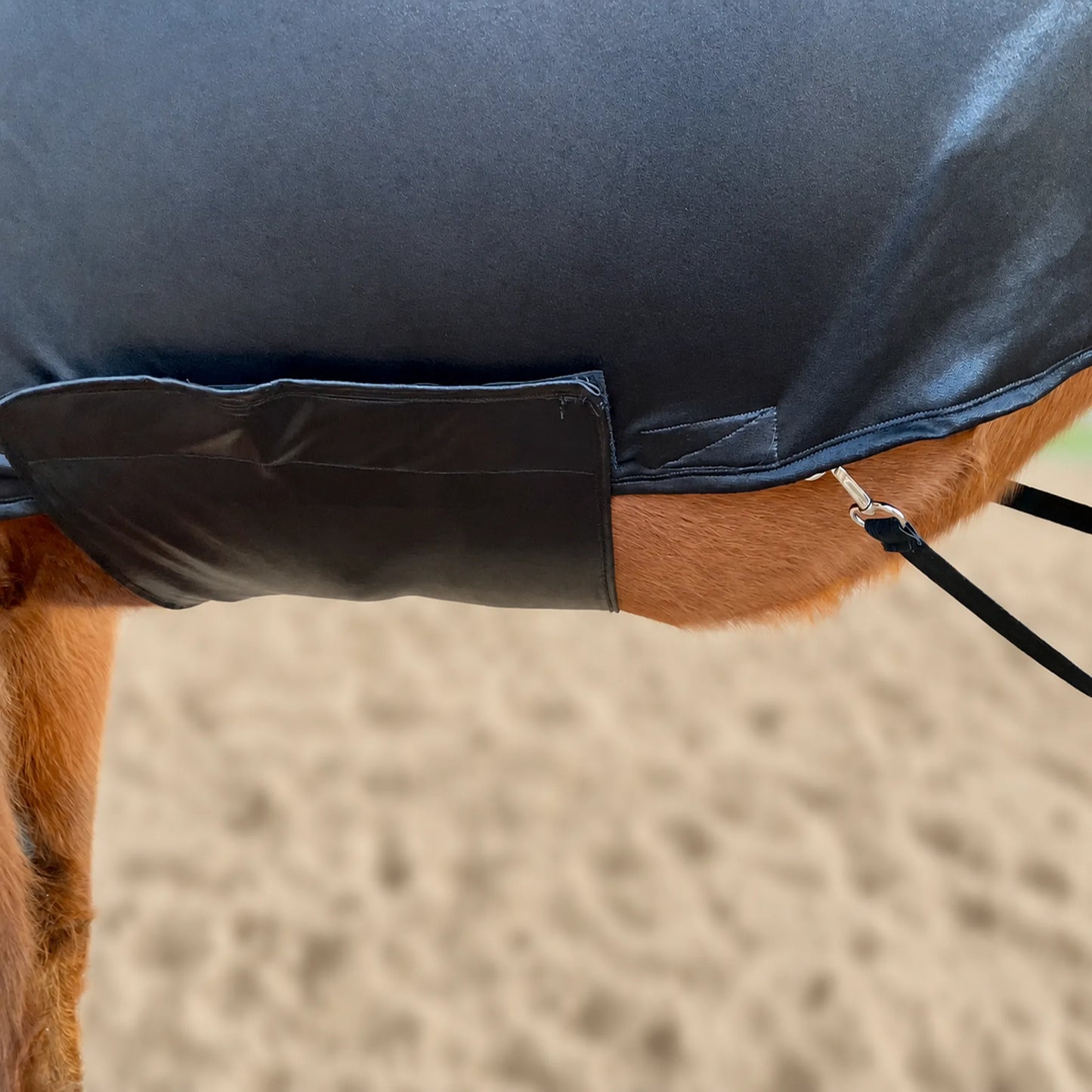 Close-up of a horse wearing a metallic black full body sleazy with black leg straps and metal hardware, standing on sandy ground.