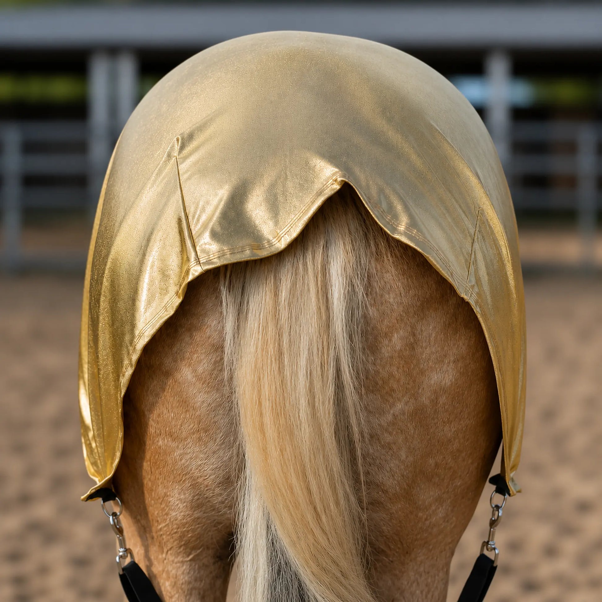 A close-up rear view of a horse wearing a shiny metallic gold full body horse sleazy in an outdoor stable or paddock.