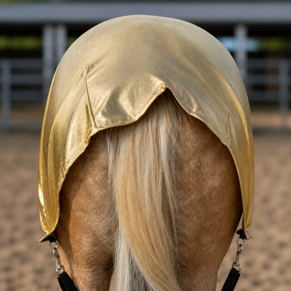 A close-up rear view of a horse wearing a shiny metallic gold full body horse sleazy in an outdoor stable or paddock.