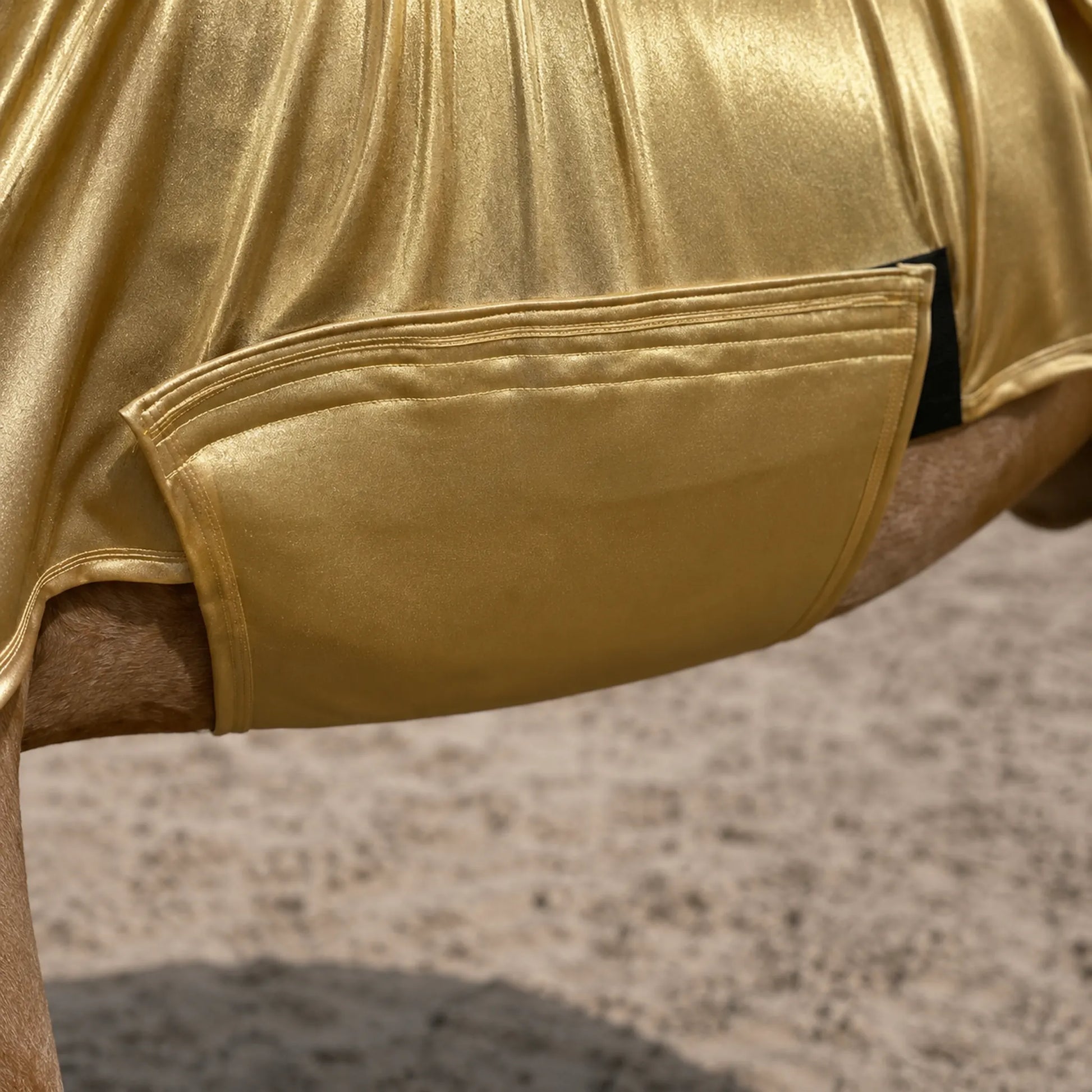 Close-up of a shiny metallic gold full body sleazy, with the horse's tan legs visible at the sides and a sandy ground in the background.