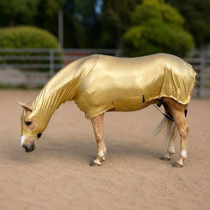 A horse standing in a sandy outdoor arena wearing a shiny metallic gold full body sleazy.
