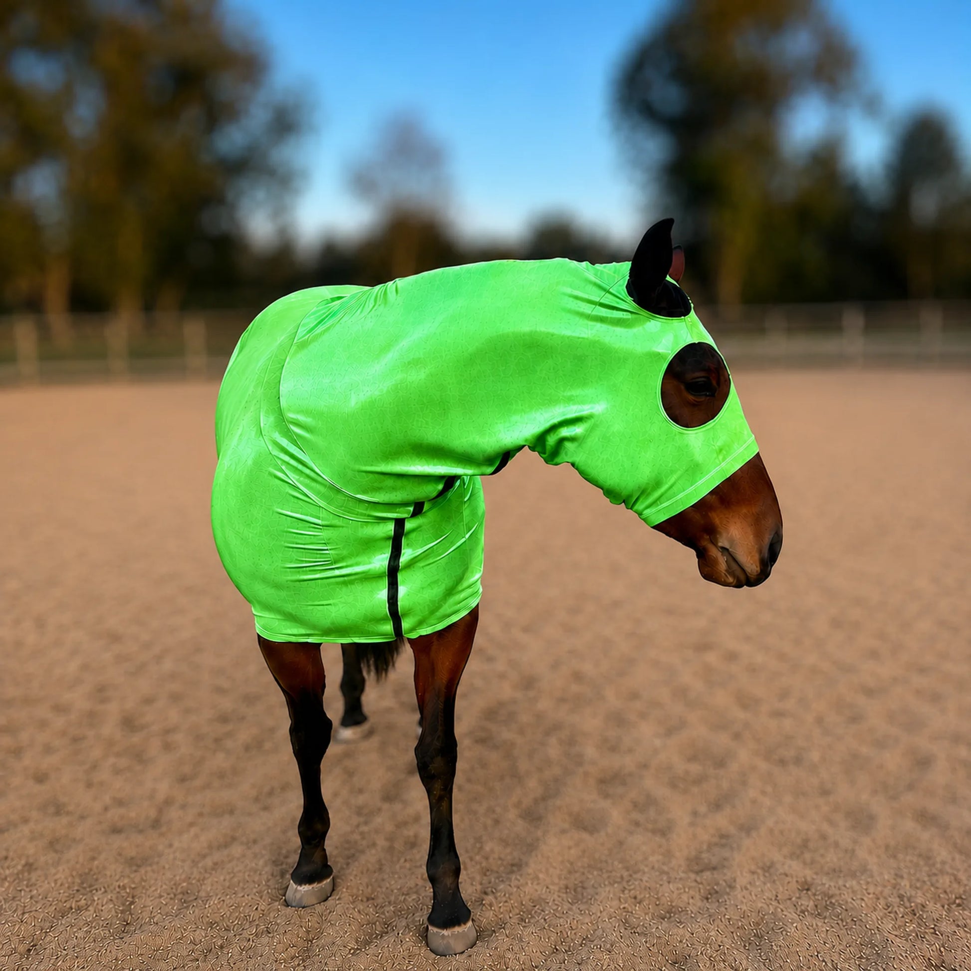 A horse standing in a sandy outdoor arena wearing a bright metallic green full body sleazy with ear and eye cutouts.