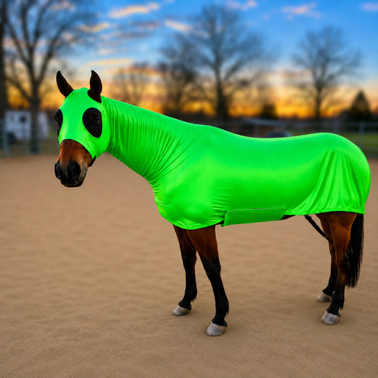 A horse standing in a sandy outdoor area at sunset, wearing a bright metallic green full body horse sleazy.