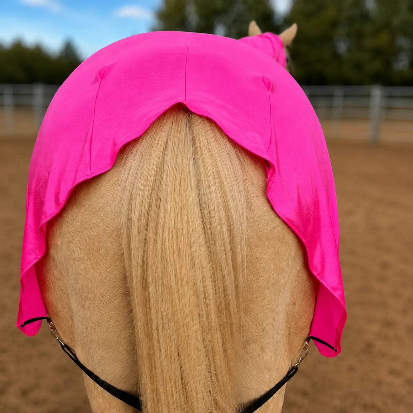Bright metallic pink full body horse sleazy, shown from behind in an outdoor stable or arena.