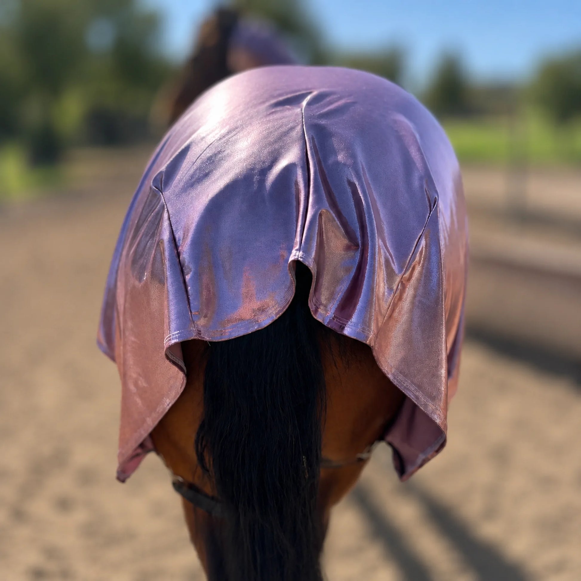 metallic rose faceless full body sleazy horse back view