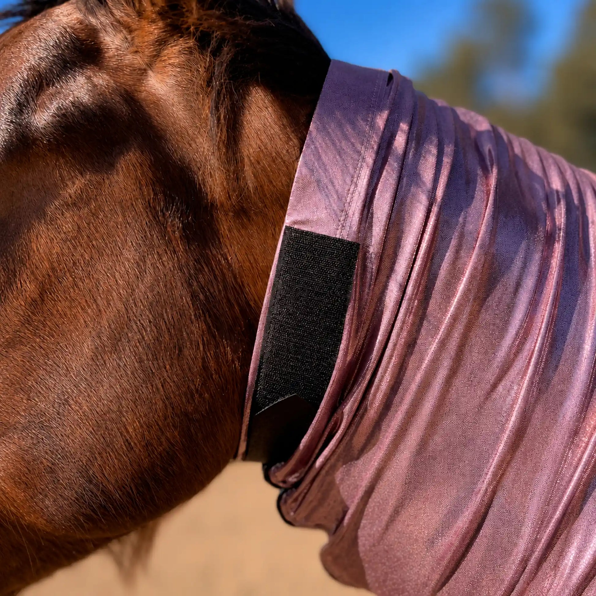 metallic rose faceless full body sleazy horse neck view