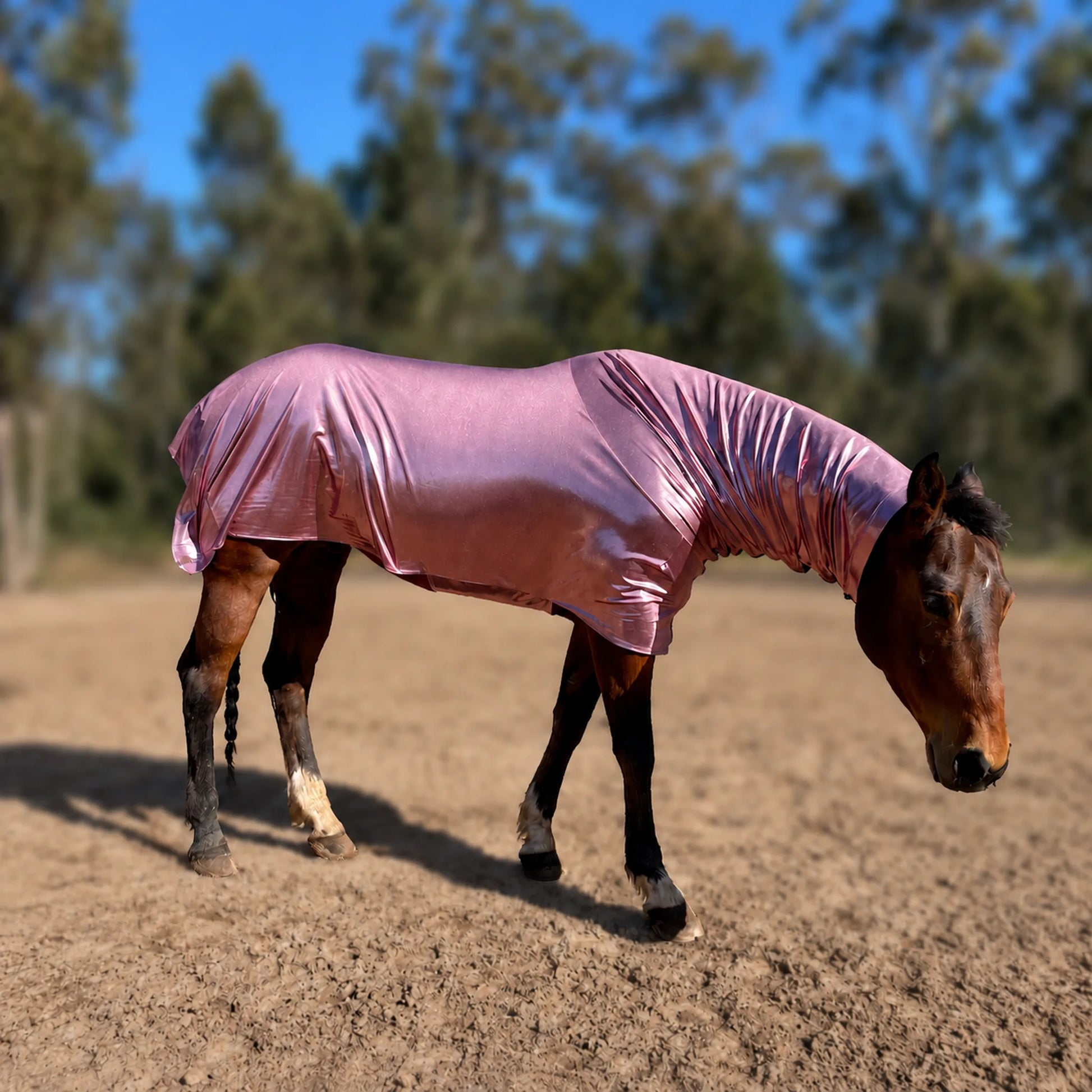 metallic rose faceless full body sleazy horse right side