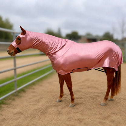 A metallic rose full body horse sleazy is shown on a brown horse standing in a sandy arena.