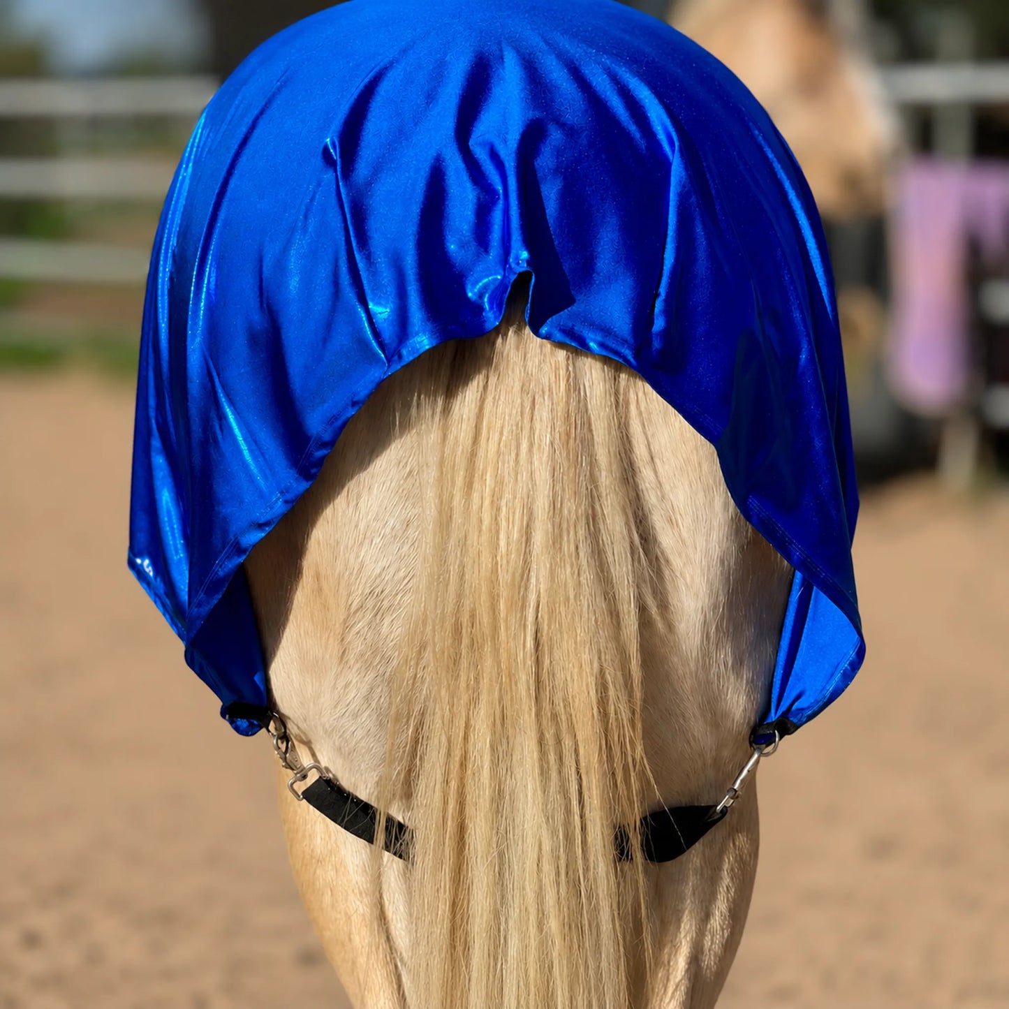 metallic royal blue faceless full body sleazy horse back view