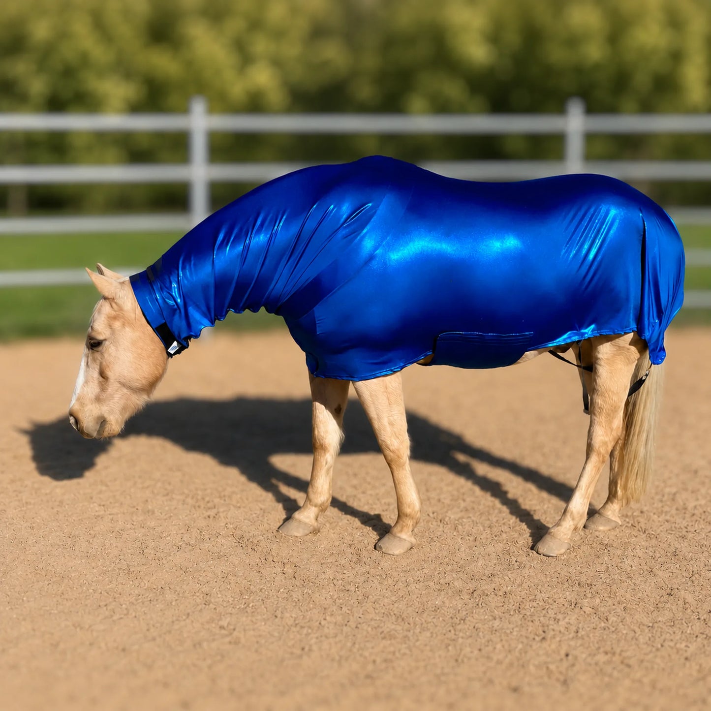 metallic royal blue faceless full body sleazy horse left view 