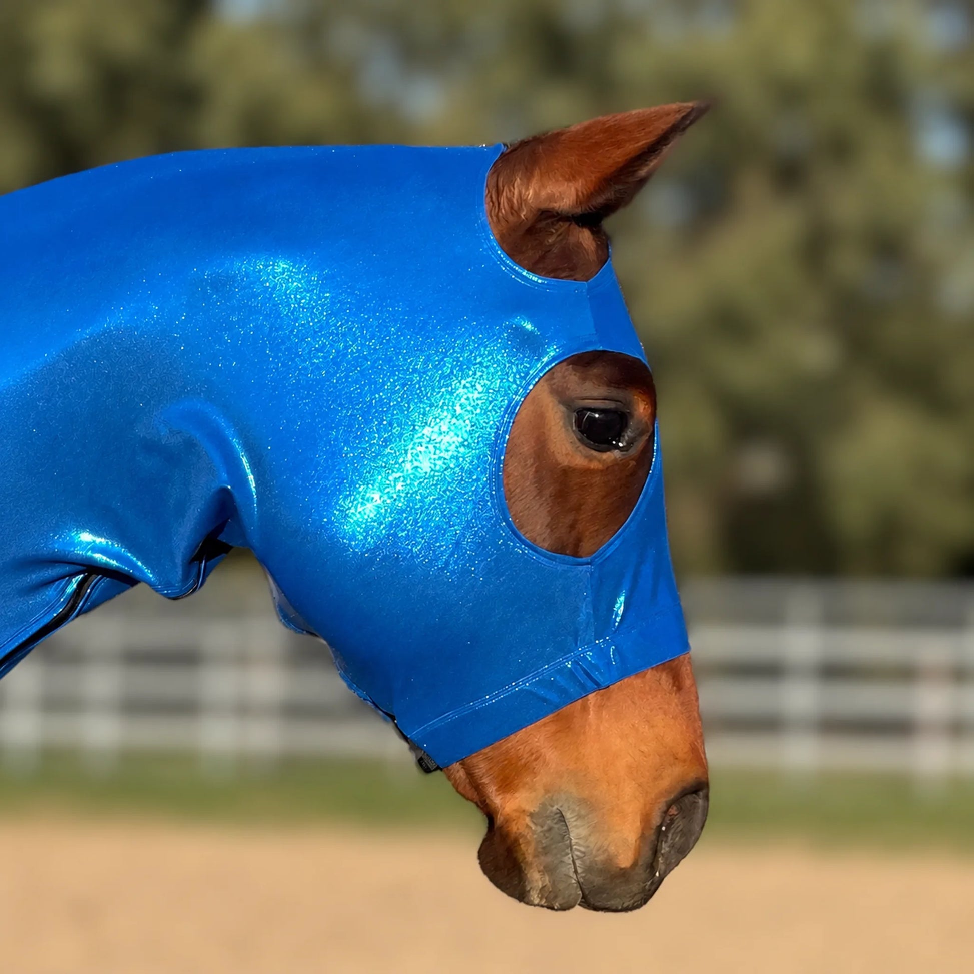 up close horse wearing a metallic full body sleazy.