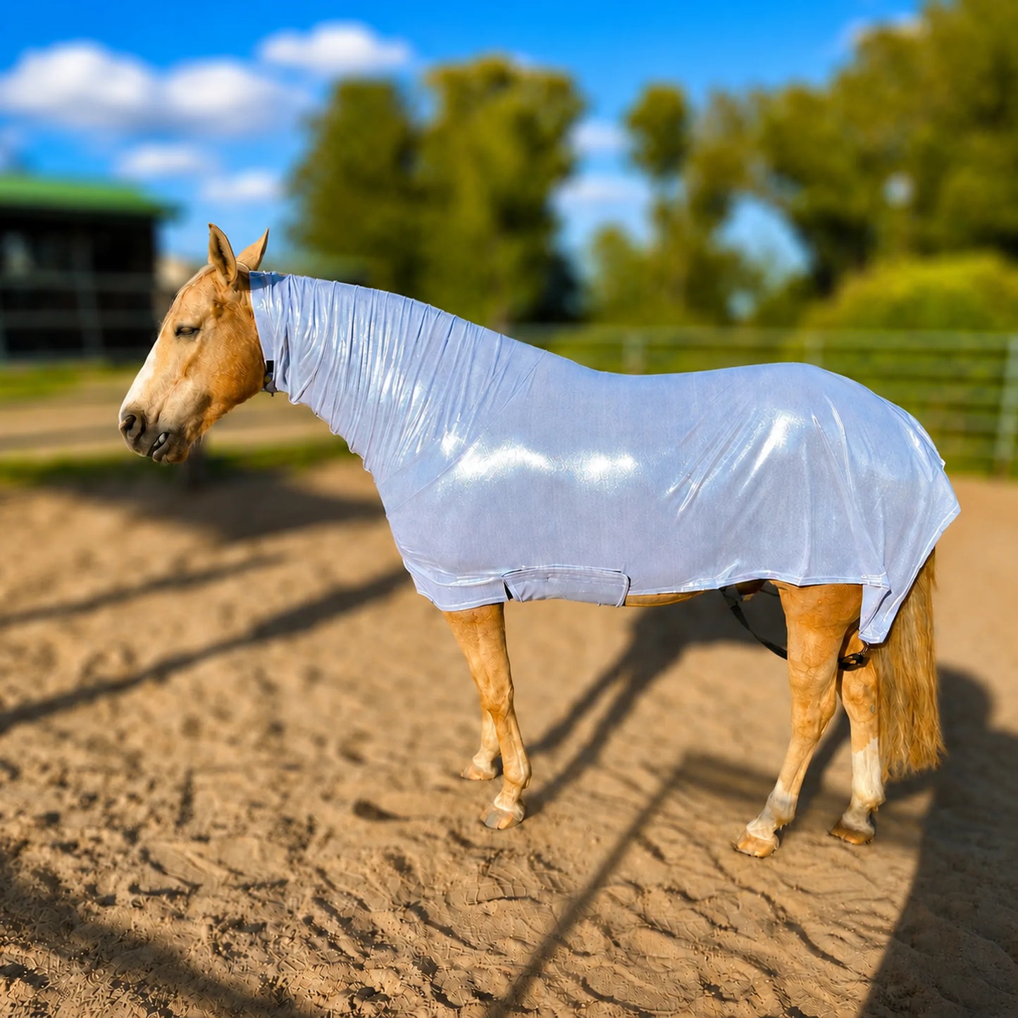 shiny metallic silver faceless full body sleazy on a horse in outdoor arena