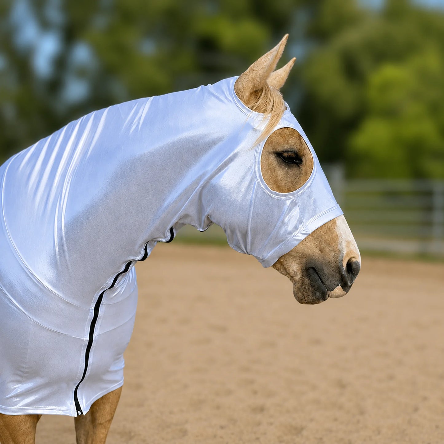 A light brown horse wearing a shiny metallic silver full body sleazy, standing in a sandy outdoor arena with blurred green trees in the background.