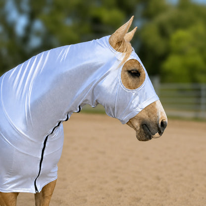 A light brown horse wearing a shiny metallic silver full body sleazy, standing in a sandy outdoor arena with blurred green trees in the background.
