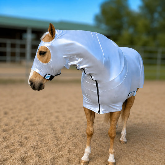 A horse standing in a sandy outdoor arena wearing a shiny metallic silver full body sleazy. The horse has light brown and white markings, and the background shows a blurred stable and trees.
