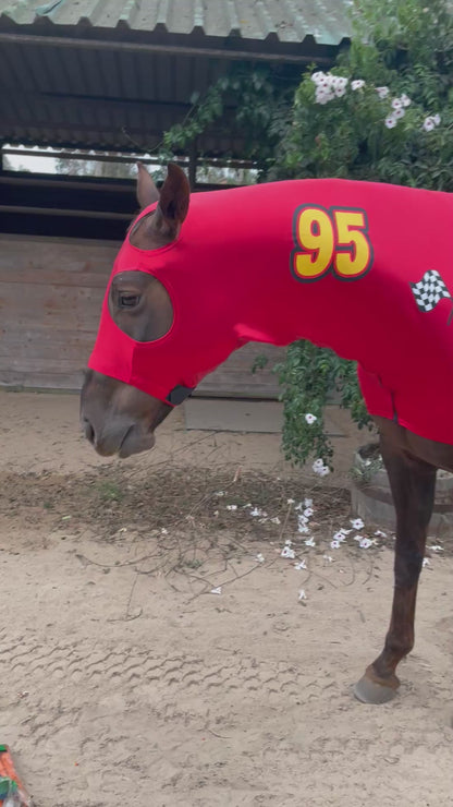 Lightening McQueen Race Car Horse Costume