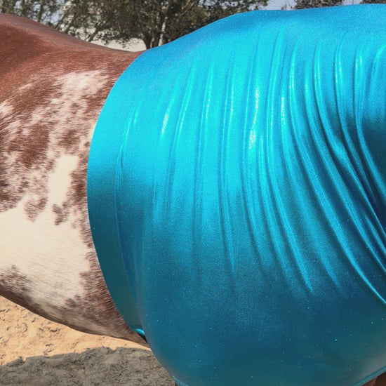 teal horse sleazy hood on a horse.