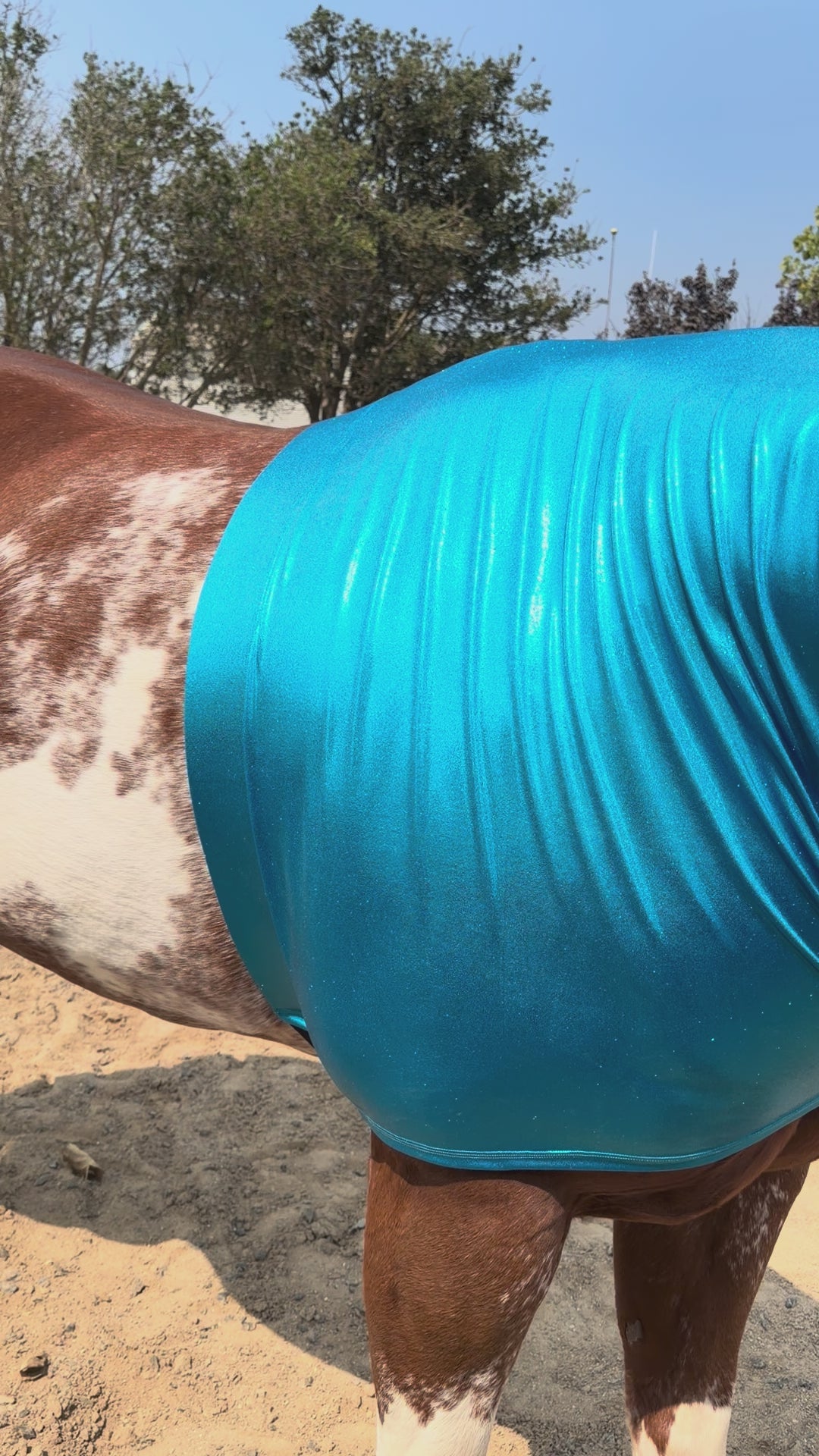 teal horse sleazy hood on a horse.