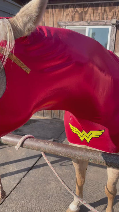 Wonder Woman Horse Costume
