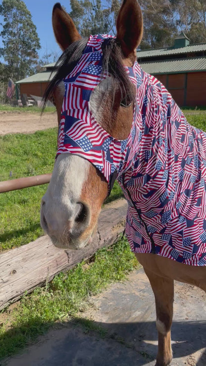 Stars and Stripes Sleazy Hood