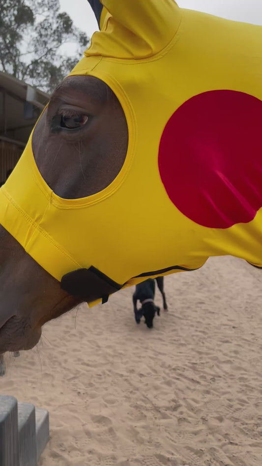 Pikachu Horse Costume