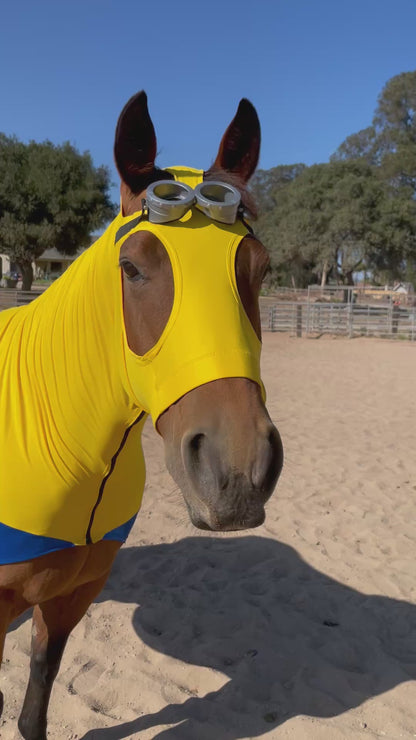 Minions Horse Costume
