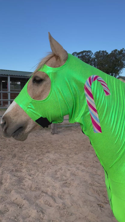 Candy Horse Costume Full Body