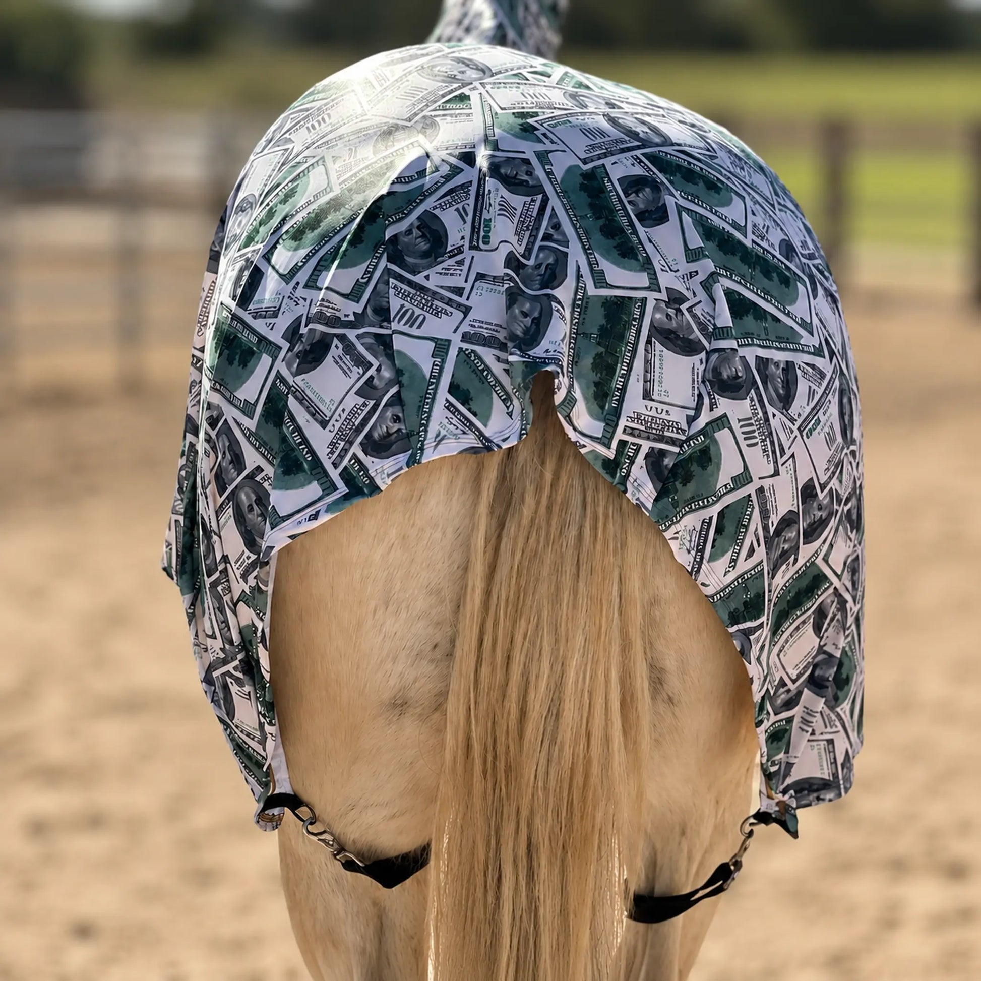 print money faceless full body sleazy horse back view