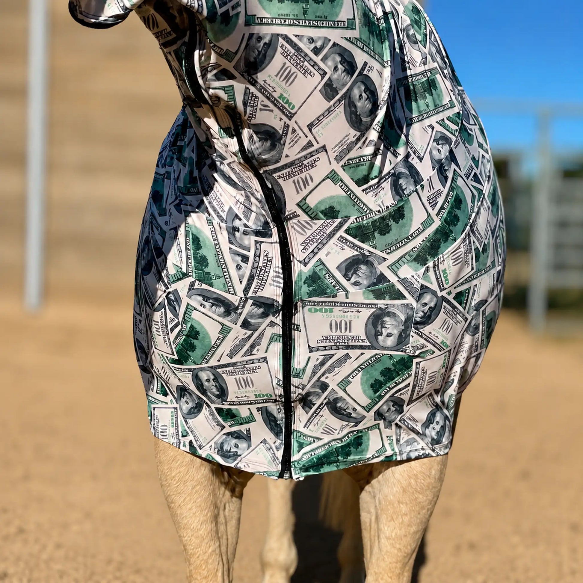 print money faceless full body sleazy horse chest view
