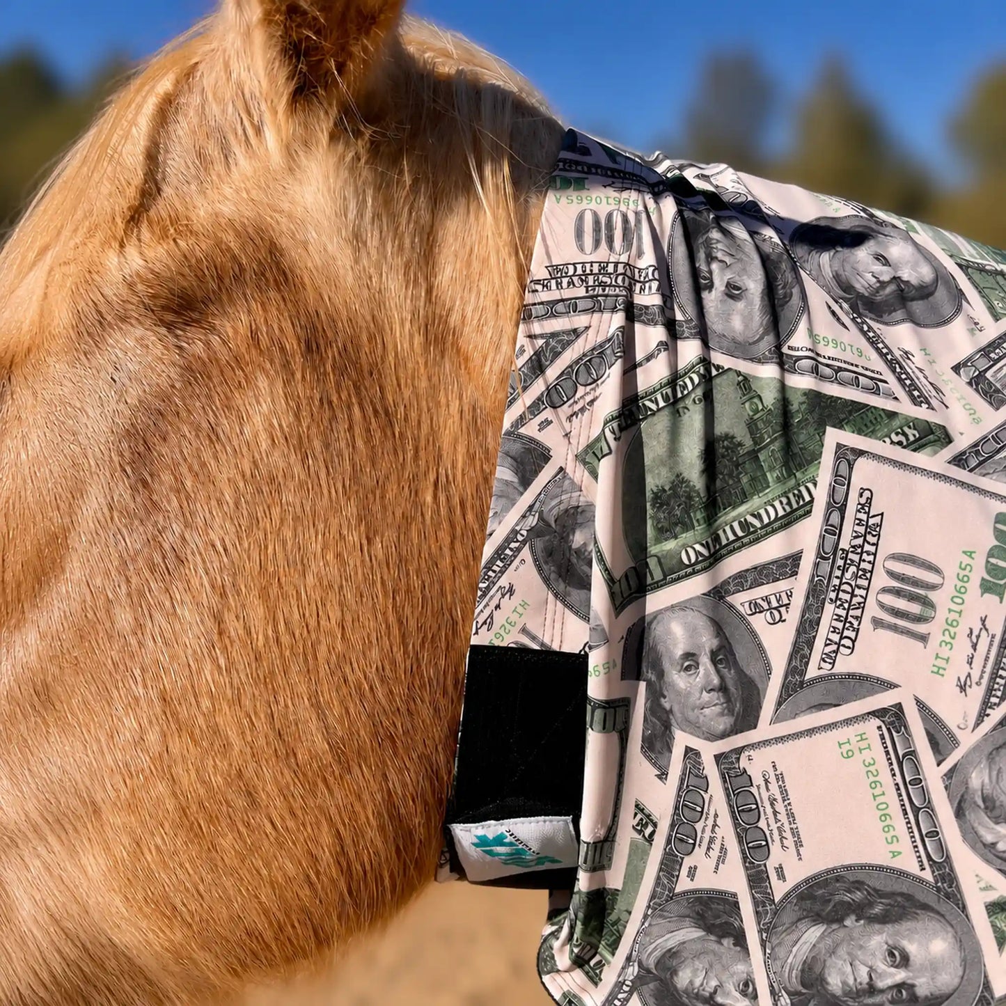 print money faceless full body sleazy neck view