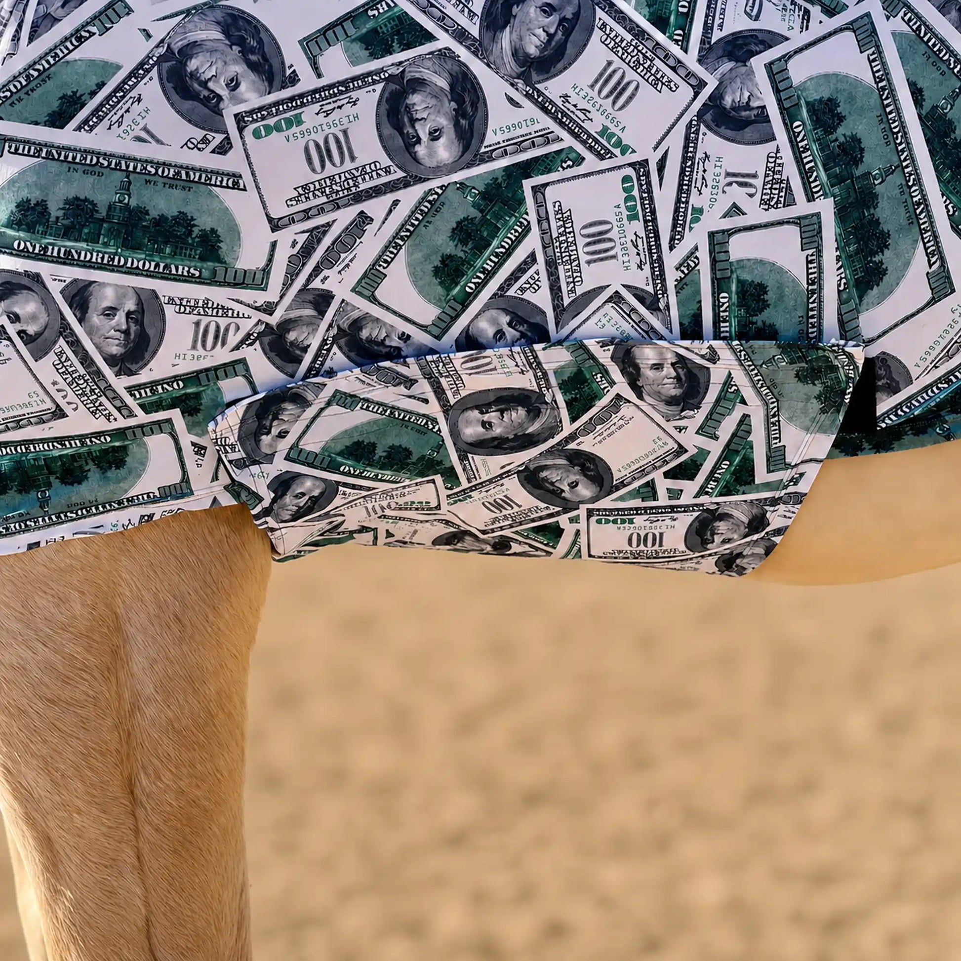 Close-up of a money full body horse sleazy with a printed pattern of U.S. $100 bills, shown on a person outdoors against a sandy background.