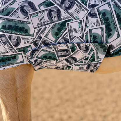Close-up of a money full body horse sleazy with a printed pattern of U.S. $100 bills, shown on a person outdoors against a sandy background.