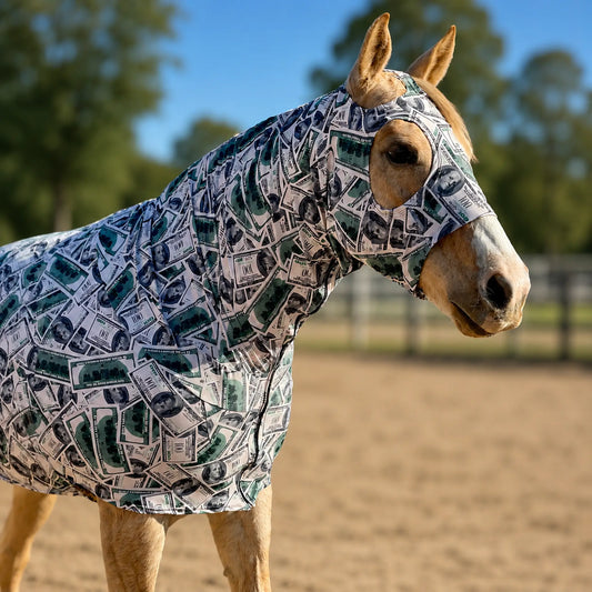 A horse standing in an outdoor arena wearing a printed money full body horse sleazy. The fabric features a repeating pattern of green and black dollar bills on a white background.