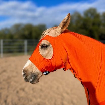 An orange full body sleazy fitted on a light-colored horse in an outdoor arena with sand and trees in the background.
